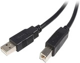 StarTech.com Câble USB 2.0 A vers B de 2 m - Cordon USB A vers USB B - M/M (USB2HAB2M)