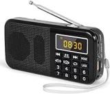 Mini Radio J-725 FM Haut-Parleur Lecteur de Musique MP3 Support Carte TF/Disque USB PRUNUS avec Fonction Rechargeable et Lampe-Torche de Secours